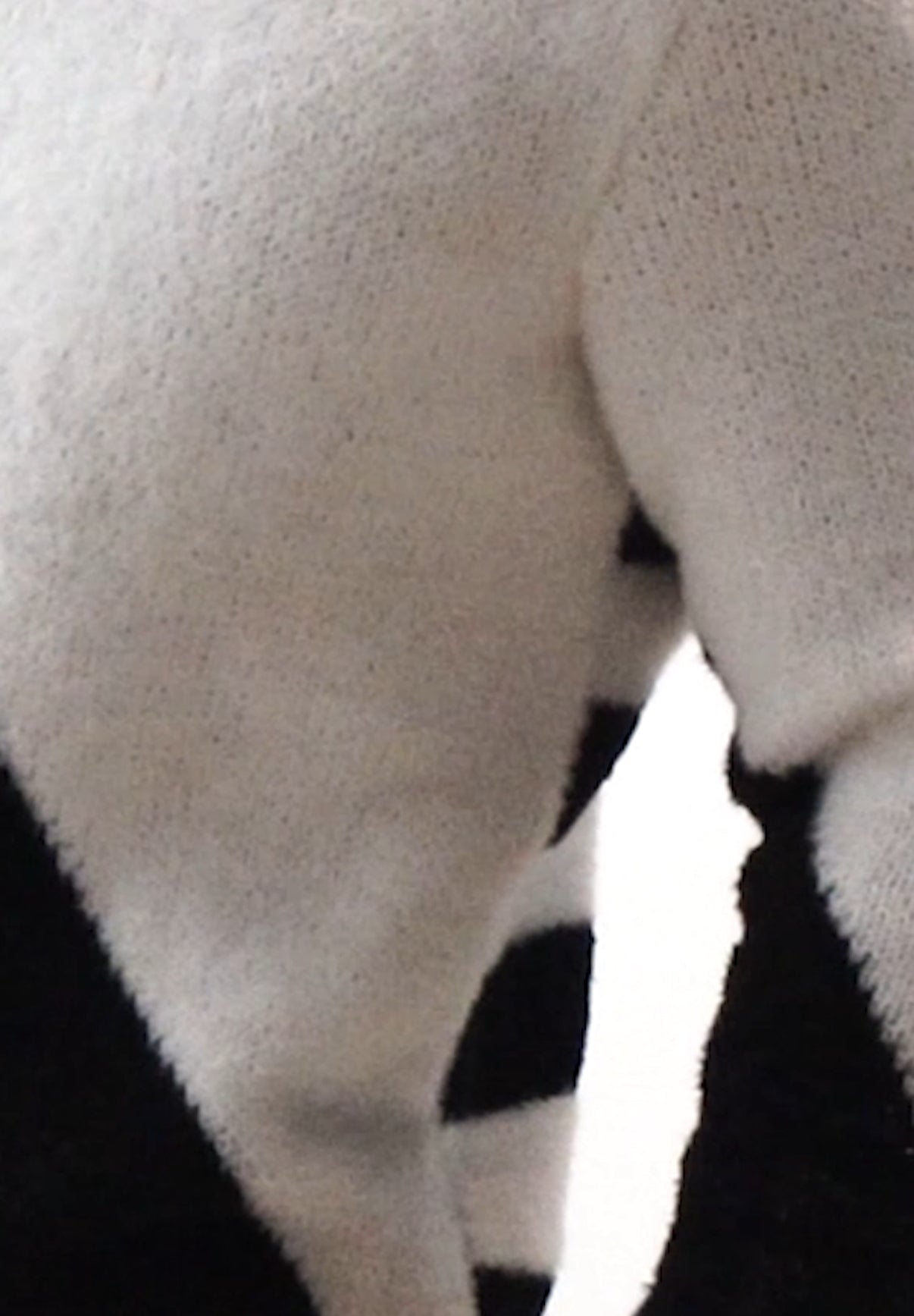 Colour-Blocked Knit Crewneck